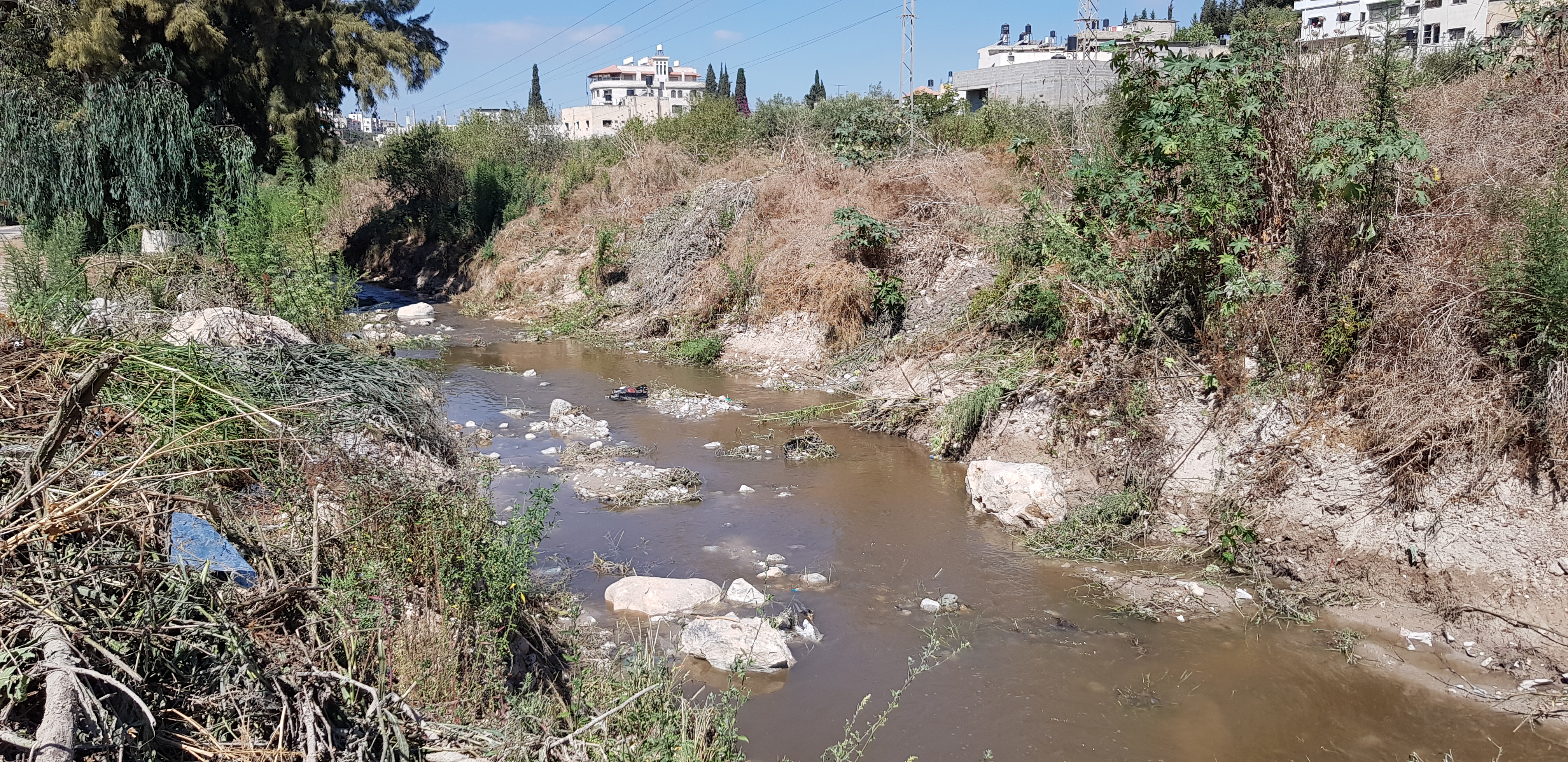  Sustainable Industrial Wastewater Management in Palestine